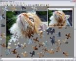 _jigsaw_images_screen2sm.jpg